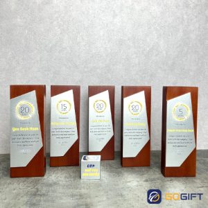 Cúp thiết kế vinh danh cống hiến Everlife CTR131 4