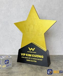 Cúp thiết kế VIP Việt Nga 2025 CTR129 2