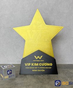 Cúp thiết kế VIP Việt Nga 2025 CTR129