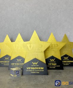 Cúp thiết kế VIP Việt Nga 2025 CTR129 4