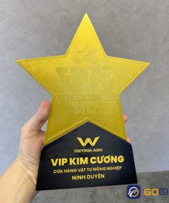 Cúp thiết kế VIP Việt Nga 2025 CTR129 3