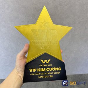 Cúp thiết kế VIP Việt Nga 2025 CTR129 3