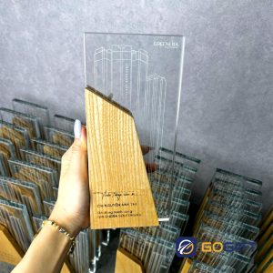 Kỷ niệm chương cảm ơn 2