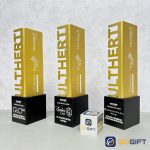 Cúp thiết kế Inamed