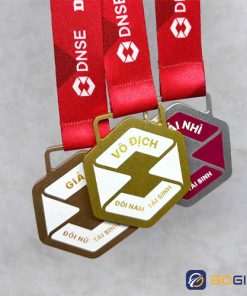 Huy chương thiết kế DNSE pickleball 2025 2