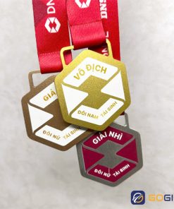 Huy chương thiết kế DNSE pickleball 2025