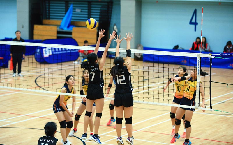 Kế hoạch tổ chức giải bóng chuyền hơi