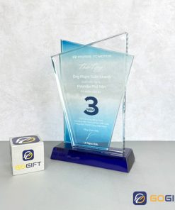 Kỷ niệm chương Hyundai Thâm Niên 2