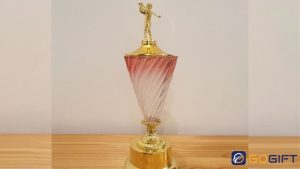 Các mẫu cúp thể thao học sinh đẹp, ý nghĩa năm 2026